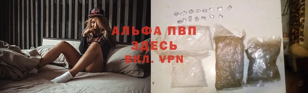 хмурый Гусь-Хрустальный