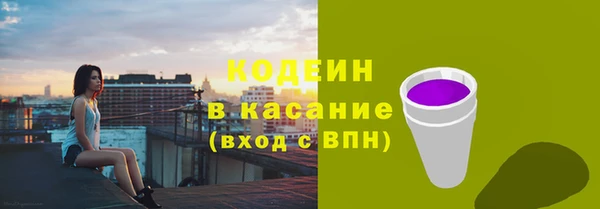 хмурый Гусь-Хрустальный