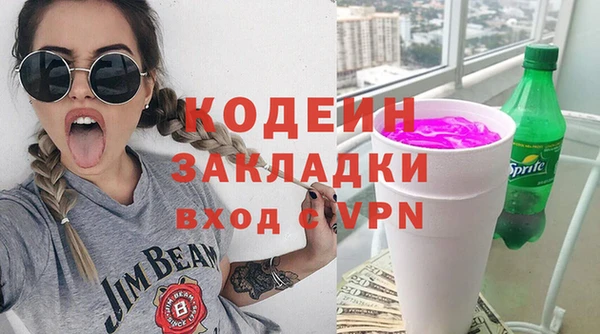хмурый Гусь-Хрустальный