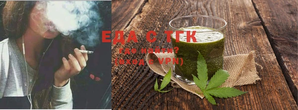 хмурый Гусь-Хрустальный