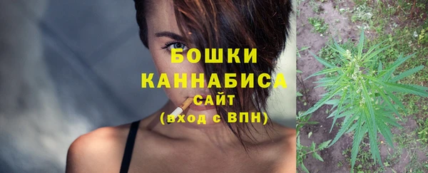 хмурый Гусь-Хрустальный